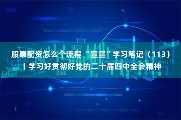 股票配资怎么个流程 “宣宣”学习笔记（113）丨学习好贯彻好党的二十届四中全会精神