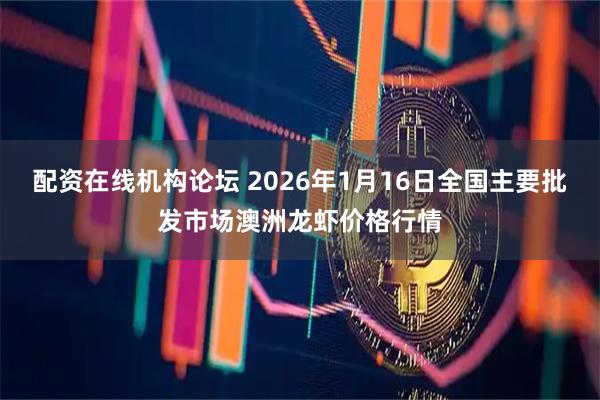配资在线机构论坛 2026年1月16日全国主要批发市场澳洲龙虾价格行情