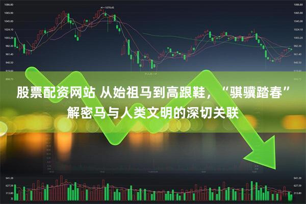 股票配资网站 从始祖马到高跟鞋，“骐骥踏春”解密马与人类文明的深切关联