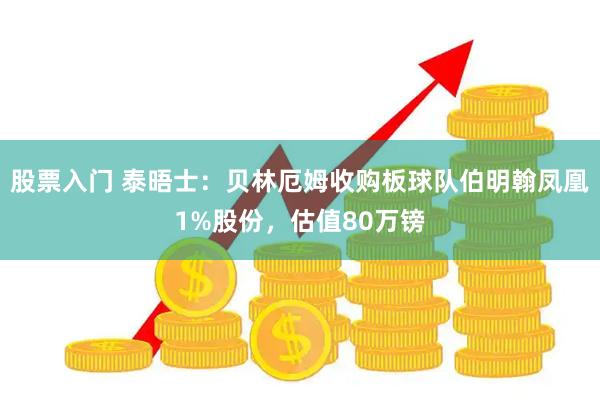 股票入门 泰晤士：贝林厄姆收购板球队伯明翰凤凰1%股份，估值80万镑
